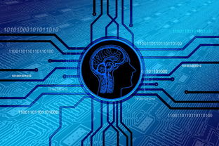 中国篮球教练战术创新中 AI 数据分析的辅助角色，中国篮球教练员有哪些